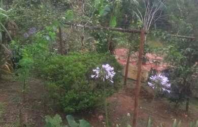 Imagem 6: Chacara prox a rodovia apenas 135 mil reais