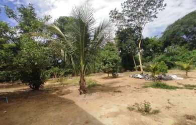 Imagem 7: VENDO RANCHO DE LAZER, NA BEIRA DO RIO URUCUIA