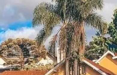 Imagem 10: Terreno - Bairro Caracol. 1.000m² de Área