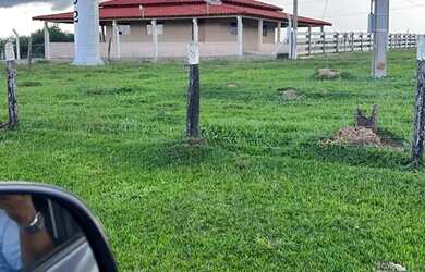 Imagem: A fazenda possui 151m² de Área e está localizado em Caiapônia