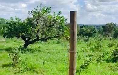 Imagem: O terreno possui 5.000m² de Área e está localizado em Guará