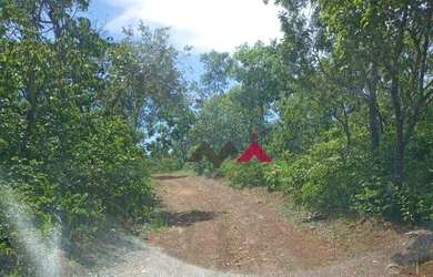 Imagem: A fazenda possui 6.630.800m² de Área e está localizado em