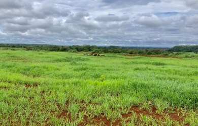 Imagem 8: Fazenda com 392 hectares Município de Filadélfia- TO