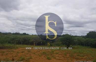 Imagem 12: Fazenda à venda Excelente para Criação de Gados,Caprinos e Ovinos e...