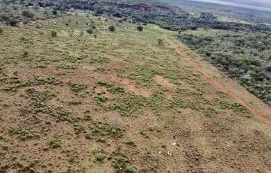 Imagem 13: Fazenda com 392 hectares Município de Filadélfia- TO