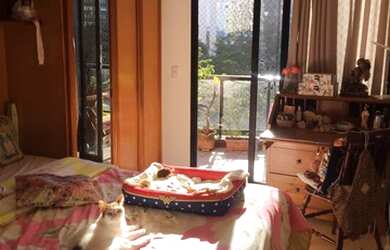 Imagem 12: Apartamento para venda no condomínio Porto Seguro-ABM-Barra da Tijuca