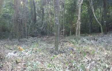 Imagem: O terreno possui 20.000m² de Área e está localizado em Jardim