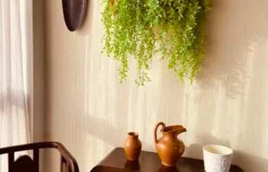 Imagem 1: Apartamento aluguel. 100m² de Área, 2 Vagas na garageme3 Dormitórios