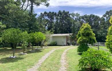 Imagem 2: Sitio - Bairro Tapera. 10.000m² de Área