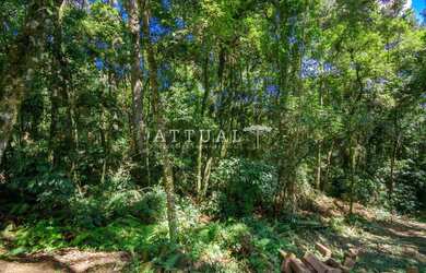 Imagem 8: GRANDE TERRENO NO BAIRRO VILA SUZANA