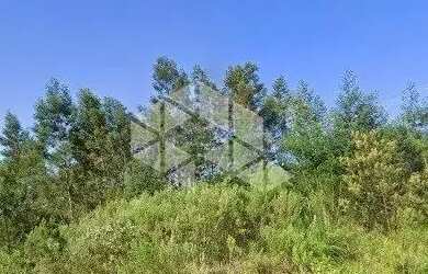 Imagem 6: Terreno de esquina à venda no Bairro Diamantino, Caxias do Sul