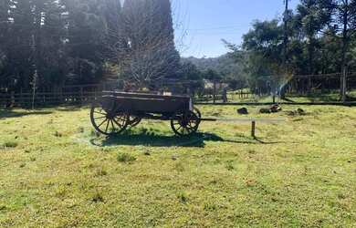 Imagem 5: Sitio - Bairro Tapera. 10.000m² de Área