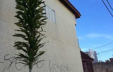 Imagem: A casa possui 5 Dormitórios, 2 Banheiros, 200m² de Área e