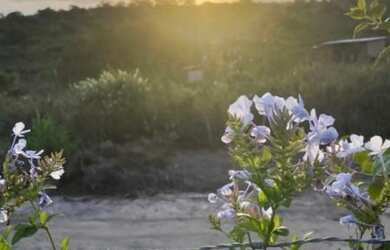 Imagem: O terreno possui 778m² de Área e está localizado em Gravatá