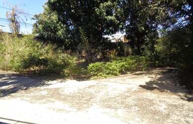 Imagem: O terreno possui 800m² de Área e está localizado em Bela