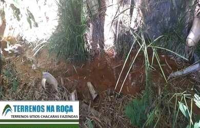 Imagem 15: Sitio em Crucilândia/MG, com nascente e lagoa, casa nova grande ótimo...