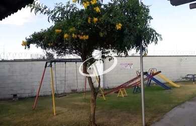 Imagem 2: Aluguel Apartamento ALTO UMUARAMA