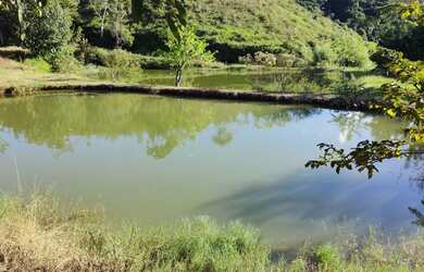 Imagem 13: Sítio 16 alqueires com 05 tanques