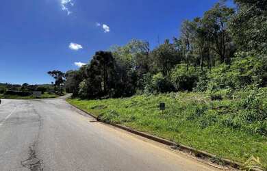 Imagem 3: Amplo Terreno no bairro Linha Imperal em Nova Petrópolis RS REF 1685