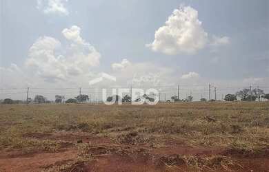 Imagem 4: LOTE CONDOMININO VILLA ROMANA - PROXIMO A PORTARIA - SAIDA GO-020