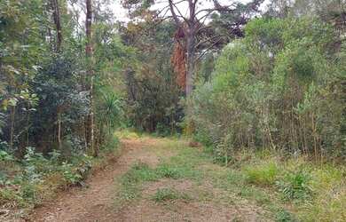 Imagem 2: Chácara Palmeira. 27.000m² de Área