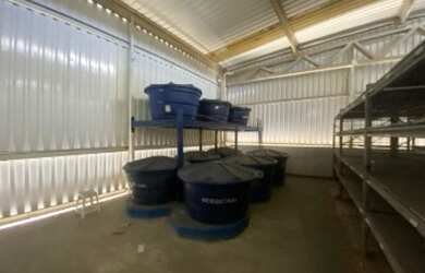 Imagem 6: Galpão/Depósito/Armazém para aluguel possui 1250 metros quadrados