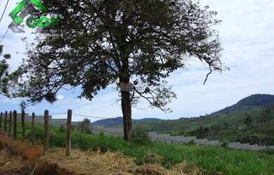 Imagem 7: Área à venda em Atibaia - 17500 m² por R$ 1.350.000 - Tanque - Atibaia/SP