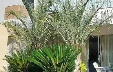 Imagem 6: CASA ART LIFE. Piscina, Churrasqueira, Ar-condicionadoeGuarda roupa