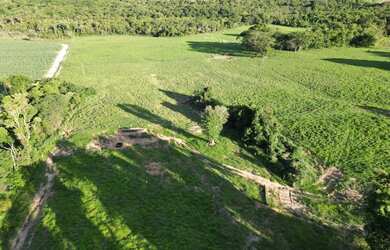 Imagem: A fazenda possui Imóvel novo e está localizado em Uberlândia