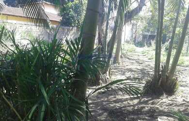 Imagem 3: Vargem Grande Terreno. 1.200m² de Área