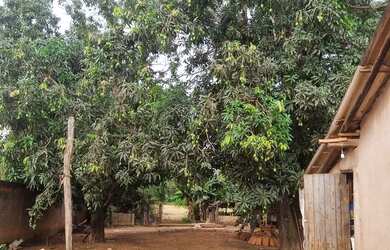 Imagem 10: Chácara 2.660 metros valor 430.000