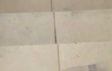 Imagem: O apartamento possui 2 Dormitórios, 1 Banheiro, 50m² de Área