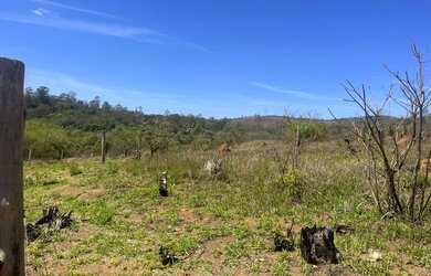 Imagem 4: 85A- TERRENOS PERFEITOS PARA MORADIA EM ATIBAIA