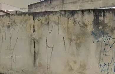 Imagem: O terreno possui 350m² de Área e está localizado em Jardim