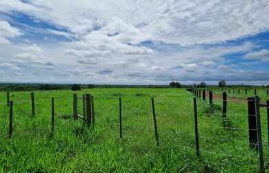 Imagem 4: Fazenda de 404 hec em Nobres MT. Com 300hec formados 13 milhões