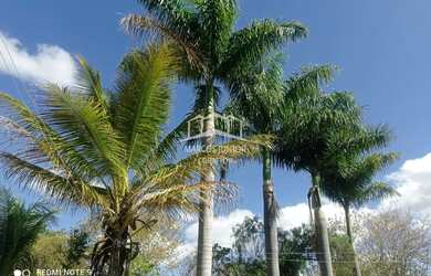 Imagem 5: VENDO LIDA CHACARA DE 33 .000 M² A 15 KM DE MONTES CLAROS PELA ESTRADA...