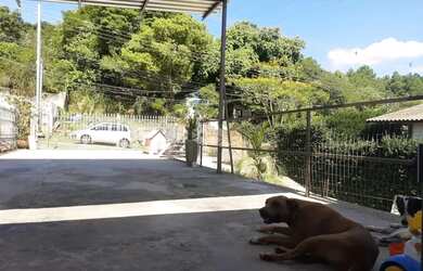 Imagem 14: Casa a venda no bairro Nossa Senhora do Perpétuo Socorro