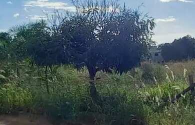 Imagem: O terreno possui 2.200m² de Área e está localizado em Arapoanga