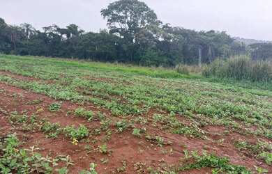 Imagem 9: Fazendinhas rurais em juatuba