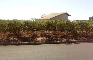 Imagem 2: Terreno Jardim Nova Taiuva Quitado