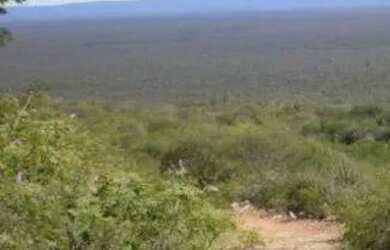 Imagem: A fazenda possui 250m² de Área e está localizado em Sento