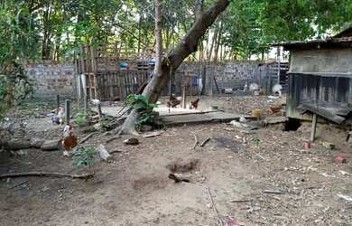 Imagem 4: Vende-se uma chácara. 3.000m² de Área