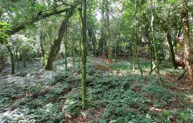 Imagem 3: Terreno à Venda em Canela