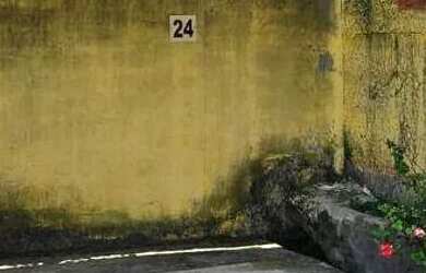 Imagem: O apartamento possui 2 Dormitórios, 1 Banheiro, 44m² de Área