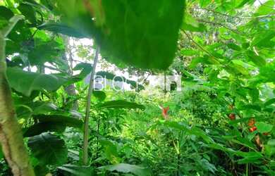 Imagem 13: Vargem Grande Terreno. 2.000m² de Área