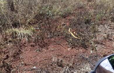 Imagem: O terreno possui 360m² de Área e está localizado em Jardim