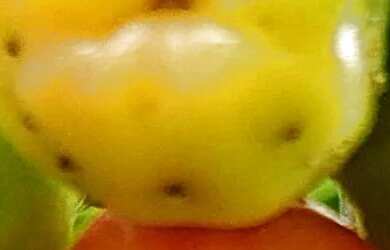 Imagem 3: Casa no centro. Imóvel mobiliado, 256m² de Área, 2 Vagas na garageme4...