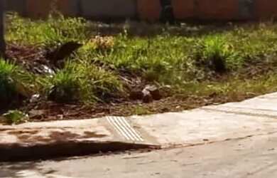 Imagem: O terreno possui 208m² de Área e está localizado em Pontal