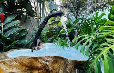 Imagem 6: Casa completa com 2/4 em Porto Seguro. Piscina, jacuzzi, área gourmet