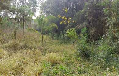 Imagem 3: Chácara Palmeira. 27.000m² de Área